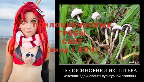 ГАЛЛЮЦИНОГЕННЫЕ ГРИБЫ Богородск