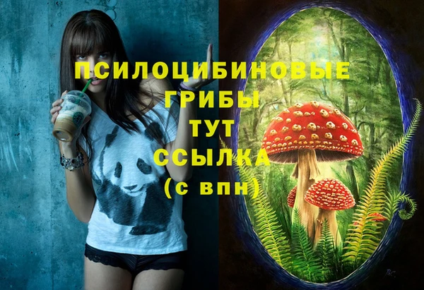 ГАЛЛЮЦИНОГЕННЫЕ ГРИБЫ Богородск