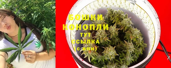 ГАЛЛЮЦИНОГЕННЫЕ ГРИБЫ Богородицк