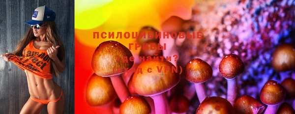 ГАЛЛЮЦИНОГЕННЫЕ ГРИБЫ Богородск